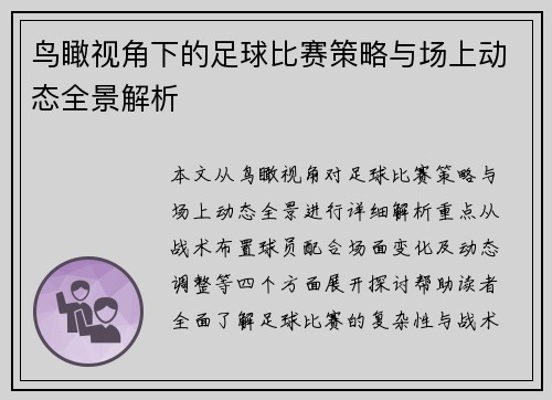 鸟瞰视角下的足球比赛策略与场上动态全景解析