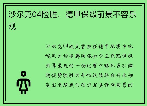 沙尔克04险胜，德甲保级前景不容乐观